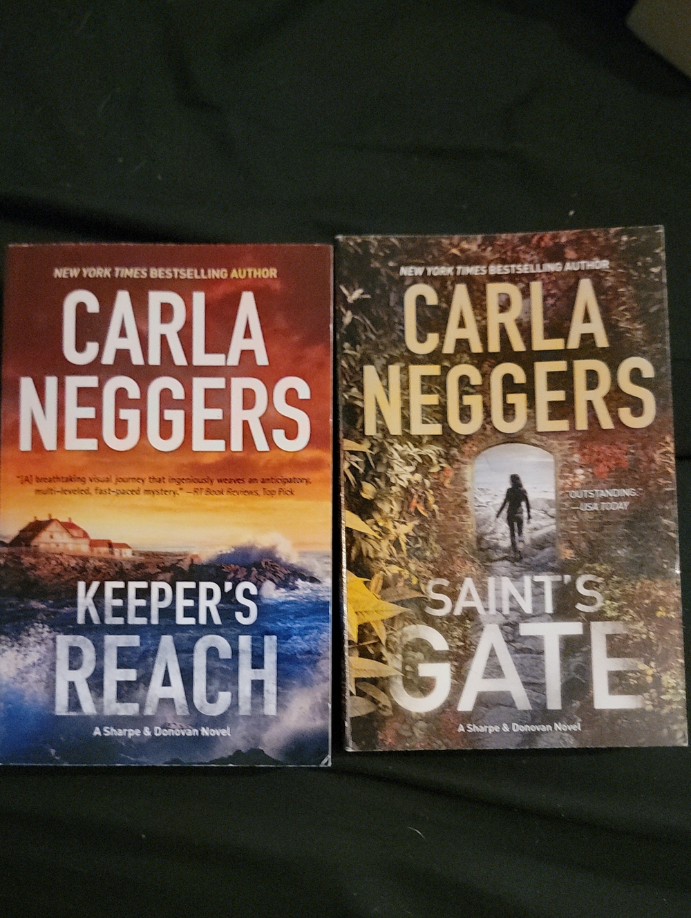 Carla Neggers Keeper's Reach & Saint's Gate — Paperback Novels